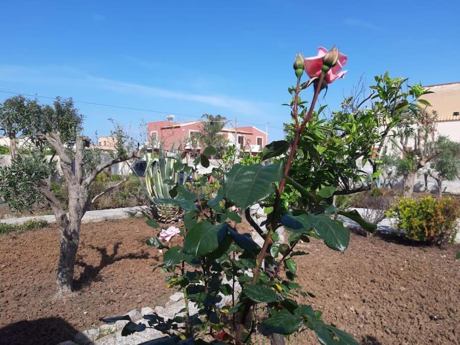 Cammini Di Sale Casa Vacanze Tra Le Saline Torre Nubia Εξωτερικό φωτογραφία