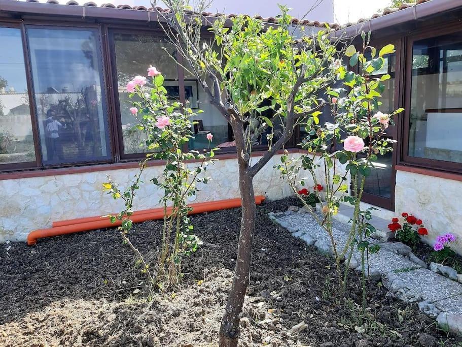 Cammini Di Sale Casa Vacanze Tra Le Saline Torre Nubia Εξωτερικό φωτογραφία