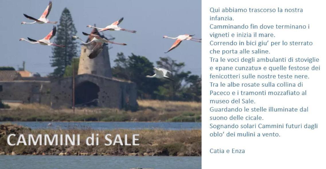 Cammini Di Sale Casa Vacanze Tra Le Saline Torre Nubia Εξωτερικό φωτογραφία