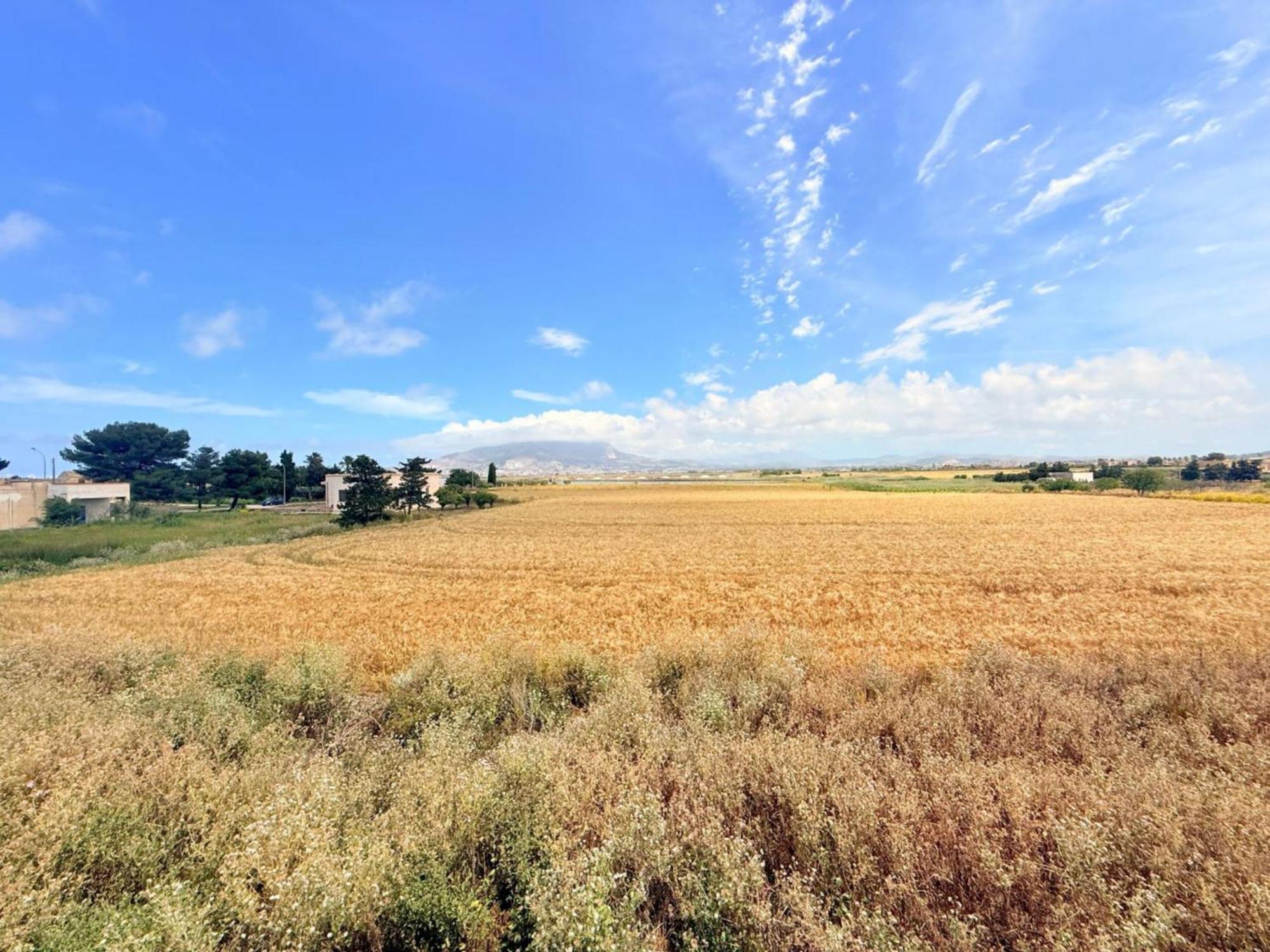 Cammini Di Sale Casa Vacanze Tra Le Saline Torre Nubia Εξωτερικό φωτογραφία